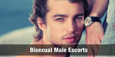 gay escort services|Gay, Bi and Trans Escorts